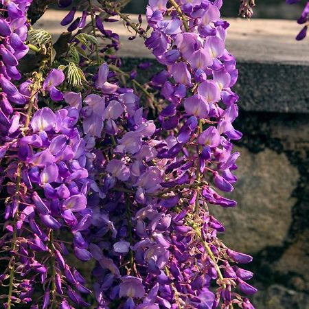 Il Glicine B&B Ristorante Cazzago San Martino Экстерьер фото