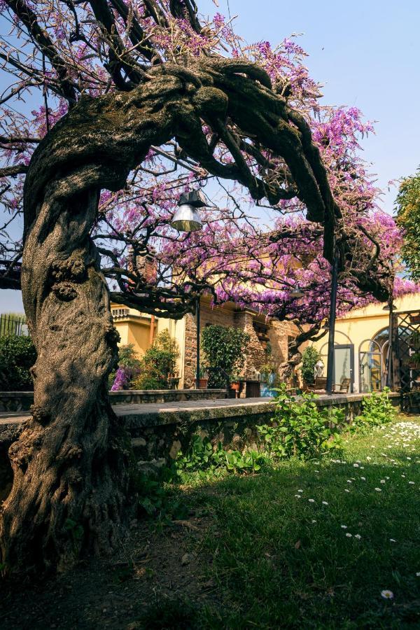 Il Glicine B&B Ristorante Cazzago San Martino Экстерьер фото