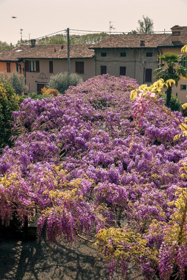 Il Glicine B&B Ristorante Cazzago San Martino Экстерьер фото