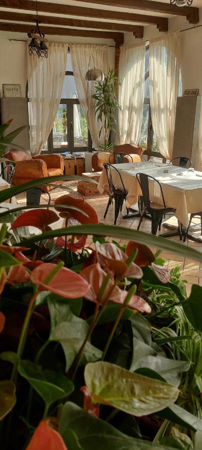 Il Glicine B&B Ristorante Cazzago San Martino Экстерьер фото